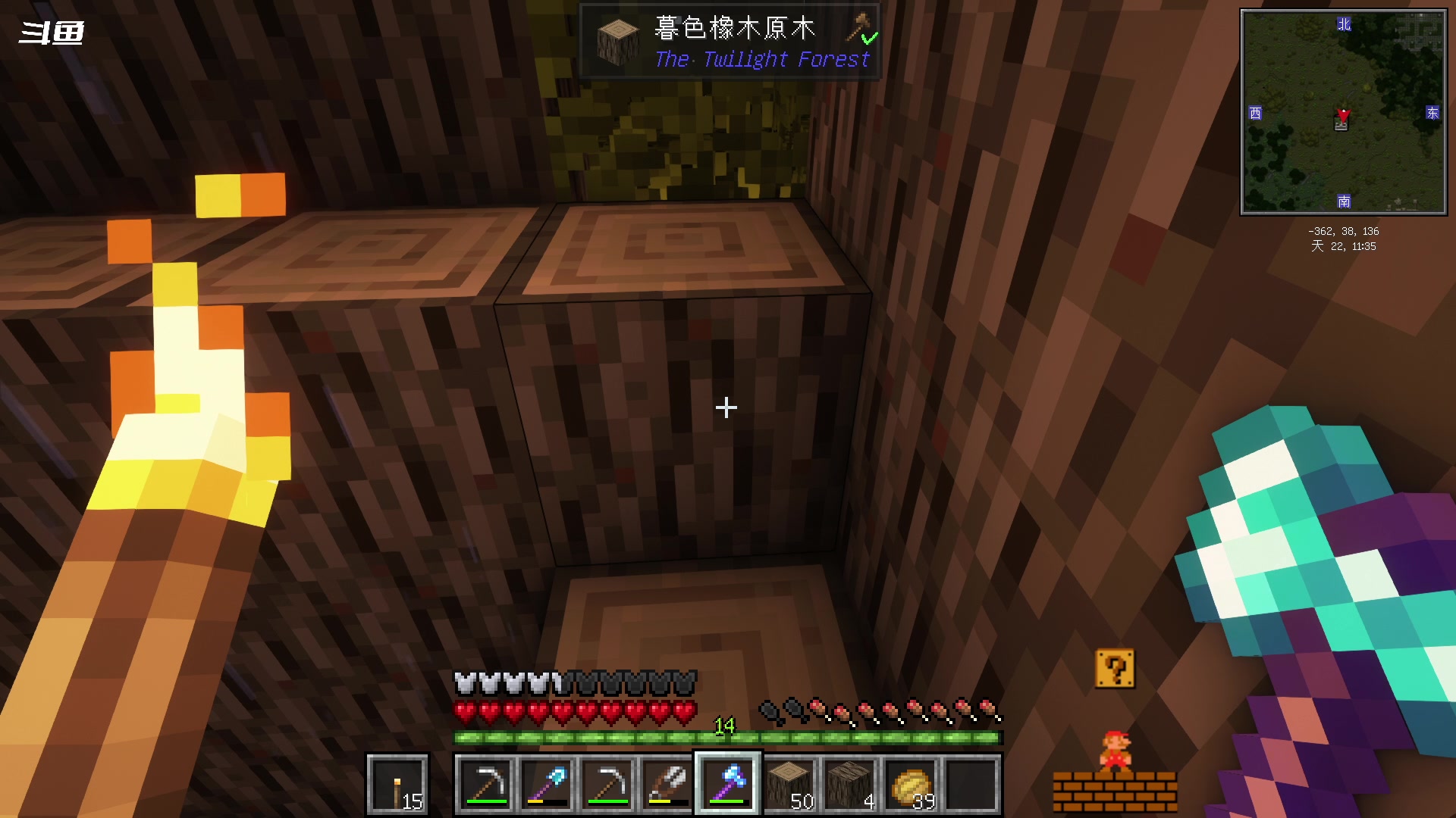 【2023-11-09 03点场】隐者丶丶：一个超级勤奋的小蜜蜂