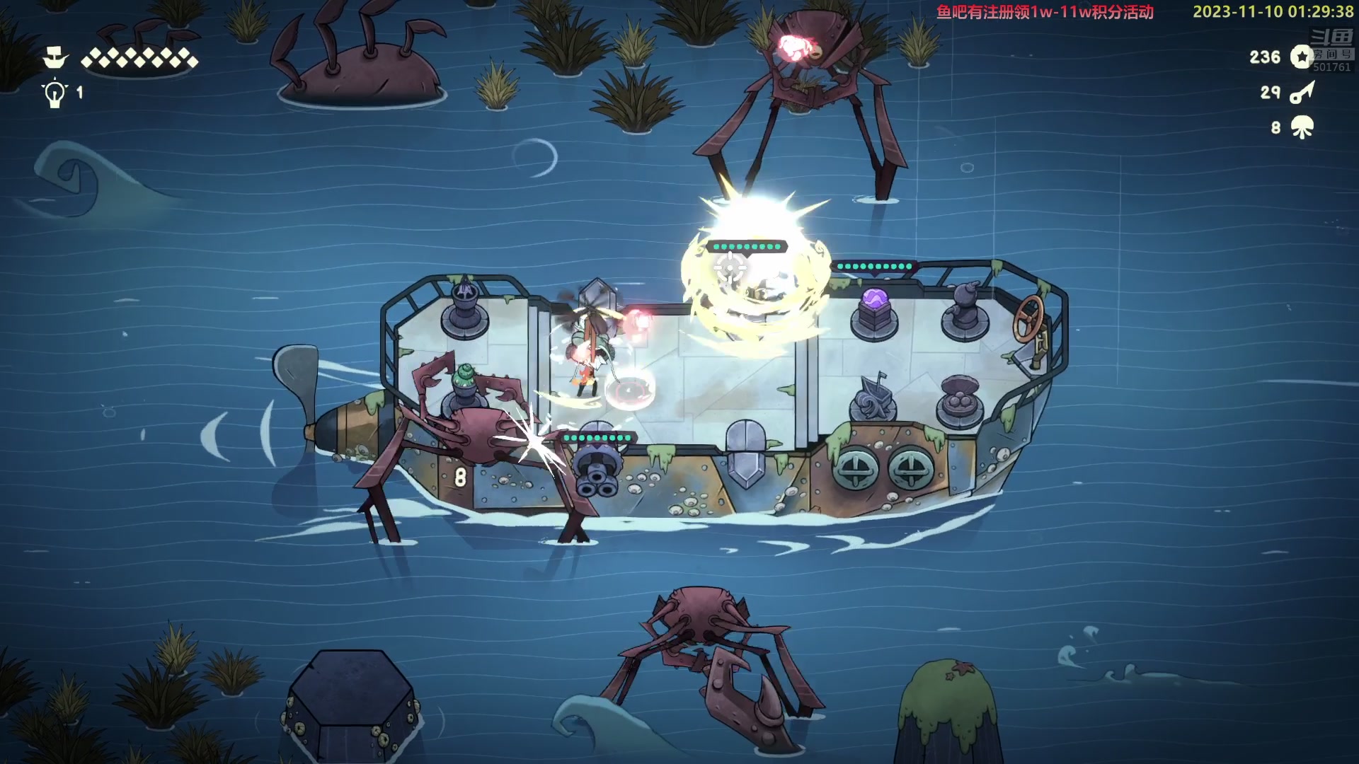 【2023-11-10 01点场】白白的胖胖呀：⭐️白胖白胖 充满希望⭐️