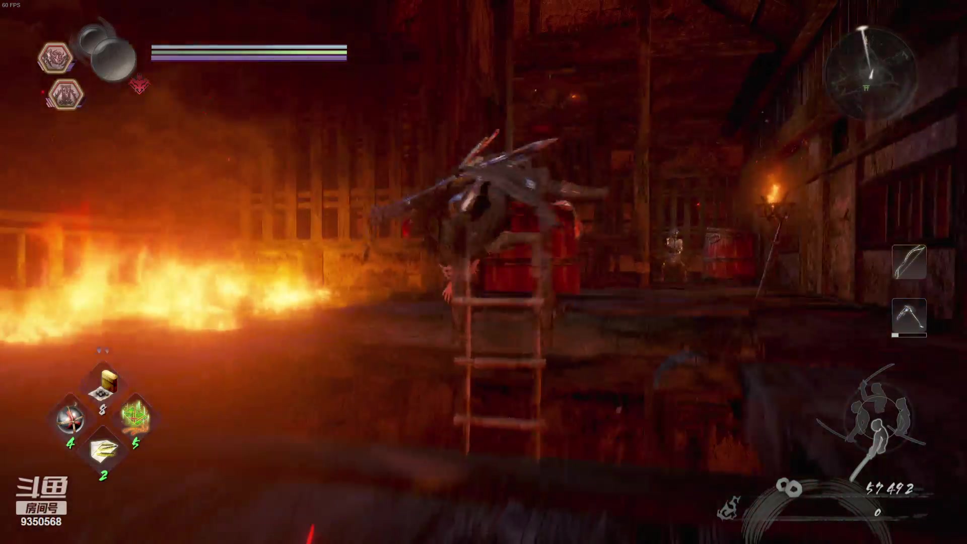 【2023-11-09 23点场】THANATOS0v0：红色虞美人 ！9350568