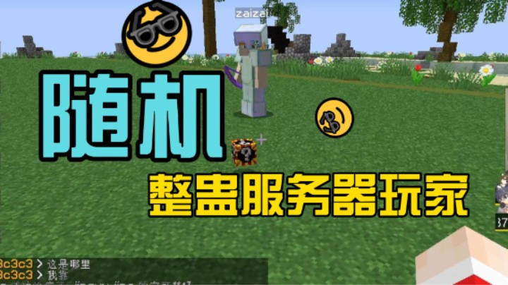 随机整蛊服务器玩家 哎嘿