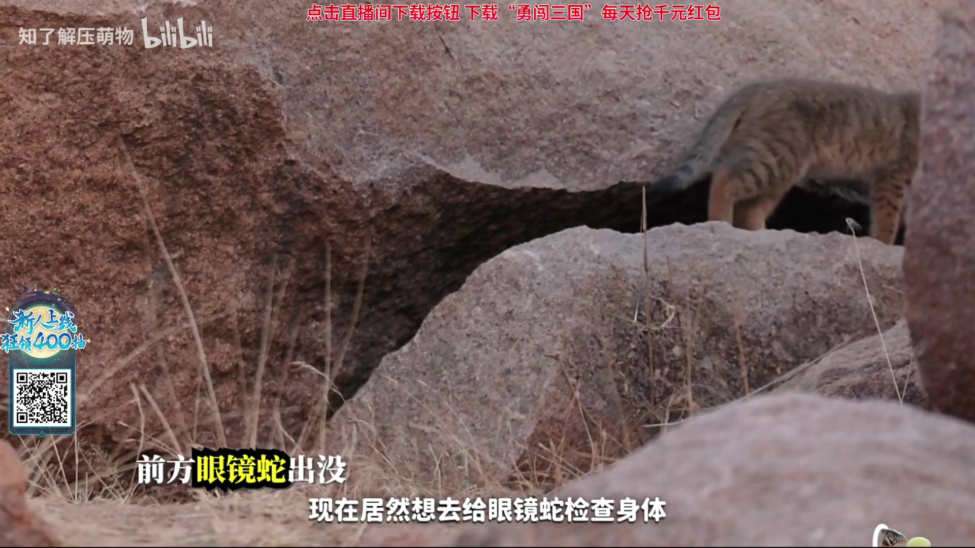 【2023-11-10 14点场】石大壮zz：下午随便玩玩。