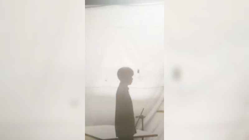 听到花海请回答