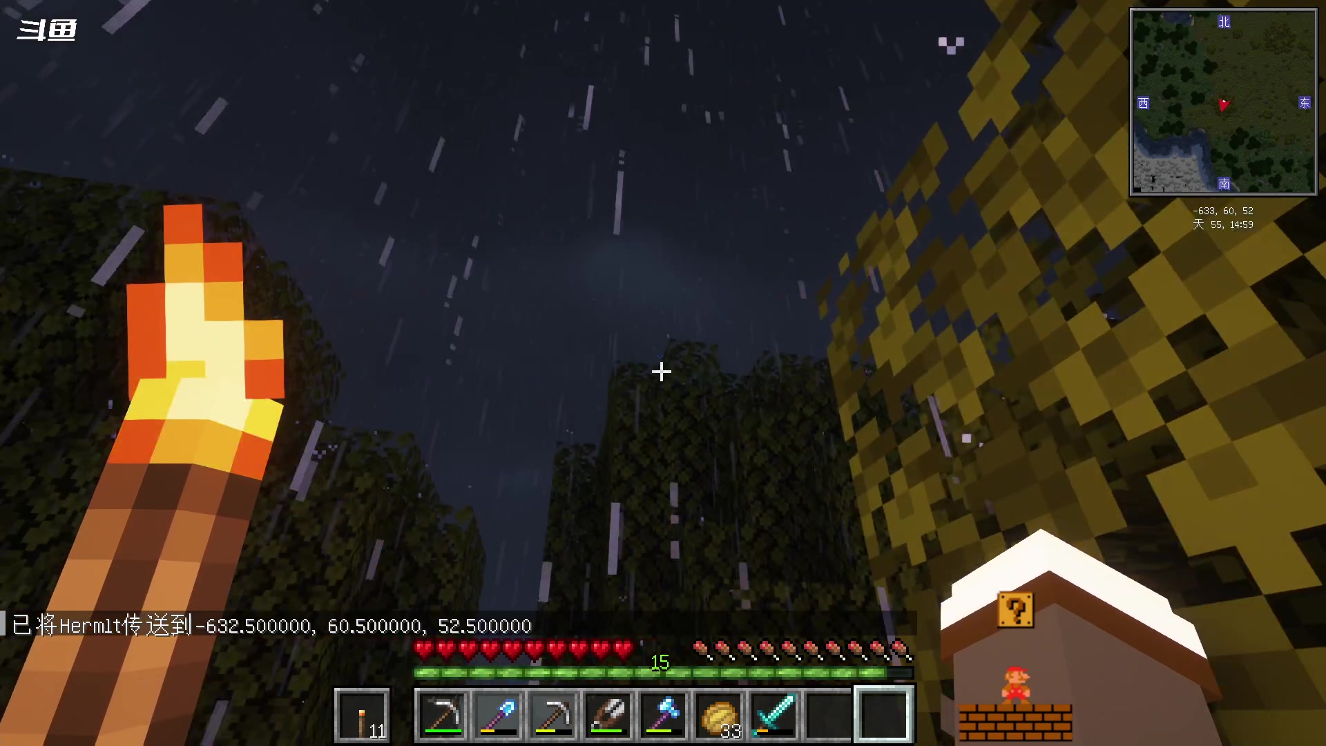 【2023-11-10 03点场】隐者丶丶：一个超级勤奋的小蜜蜂