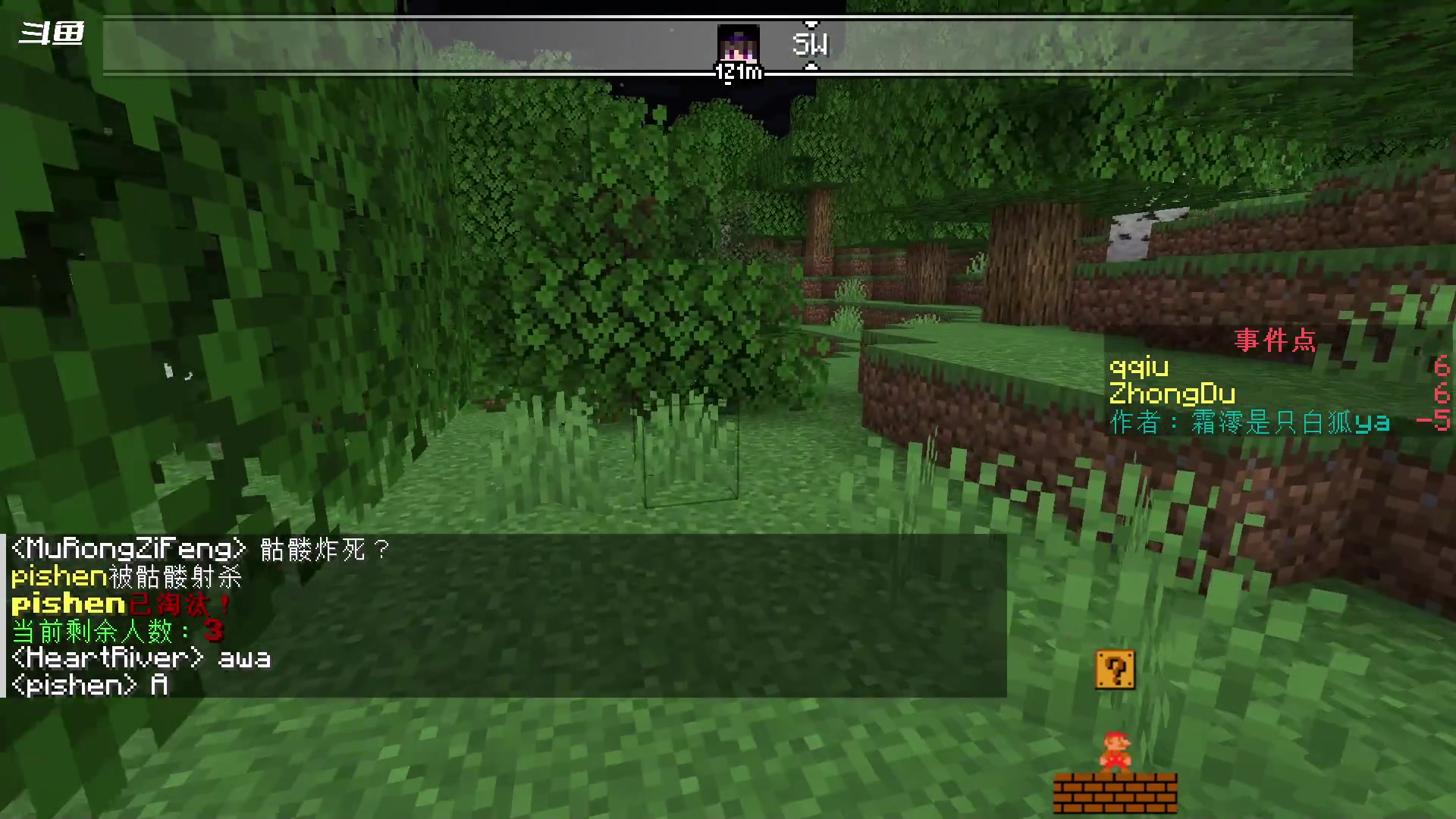 【2023-11-11 19点场】隐者丶丶：一个超级勤奋的小蜜蜂