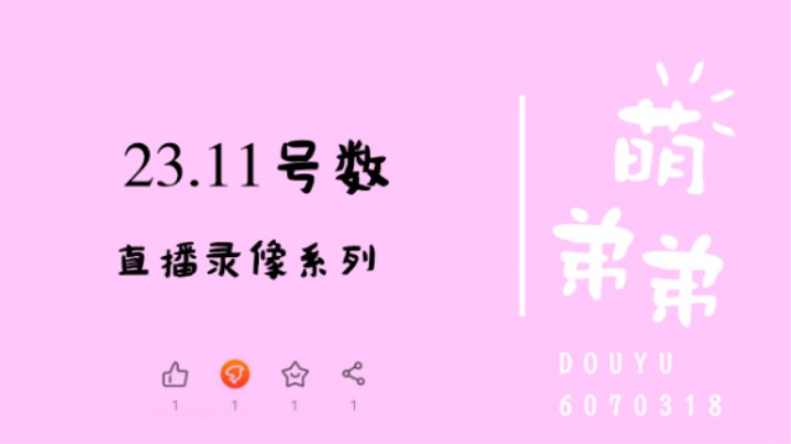 23.11号数