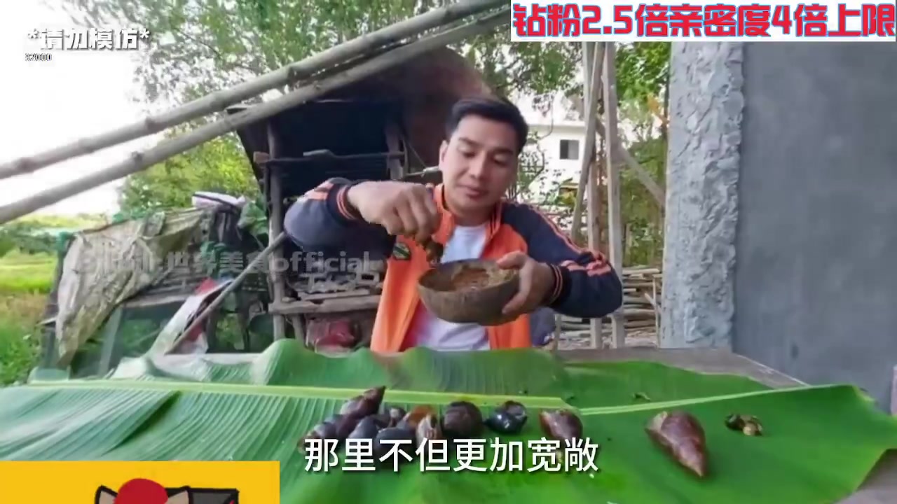 【2023-11-11 01点场】呆妹儿小霸王：【钻粉2.5倍】一起see