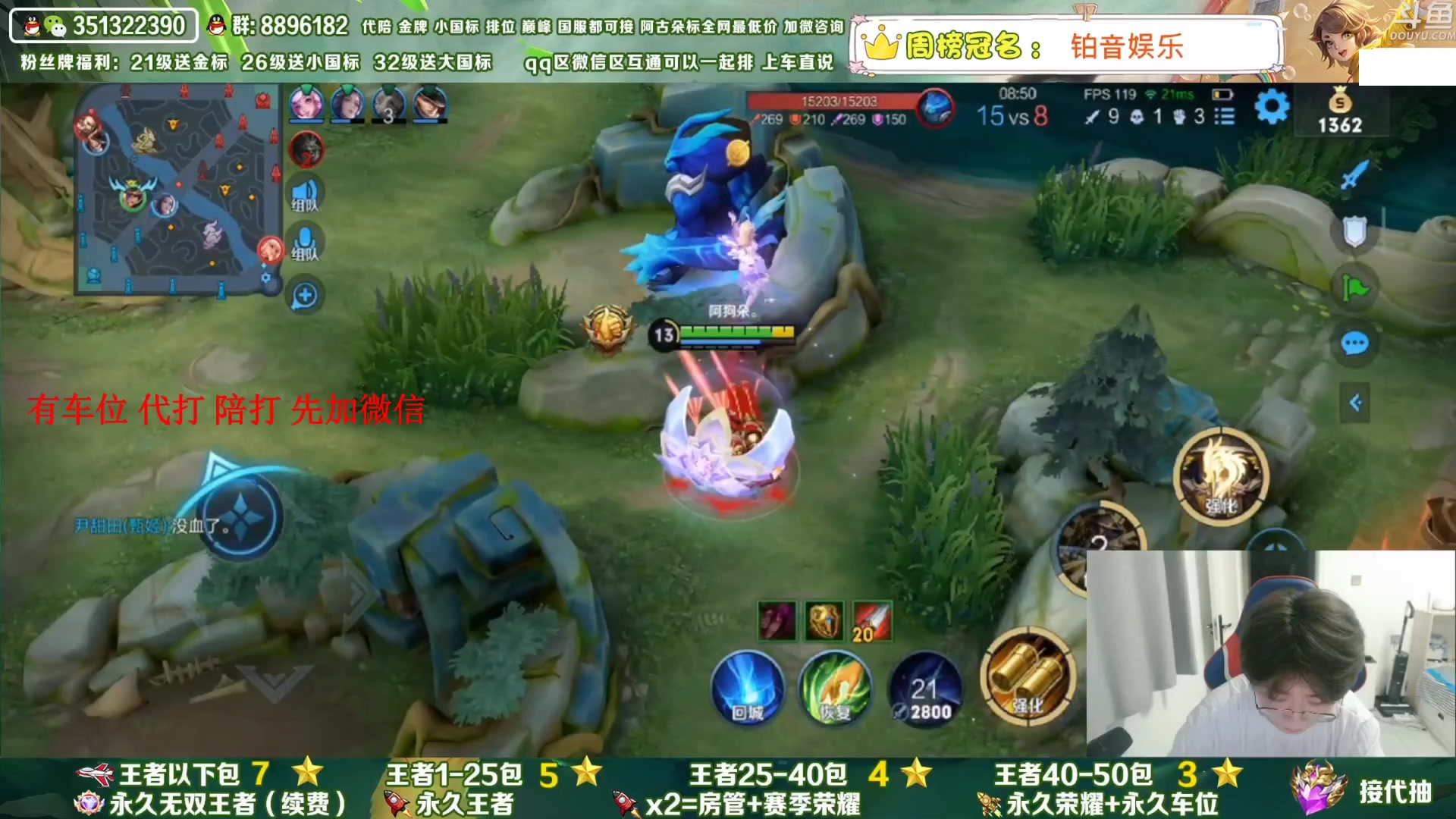 【2023-11-11 14点场】孤寂丶全能打野：双国服在榜3拖2,公主请上车,可帮打