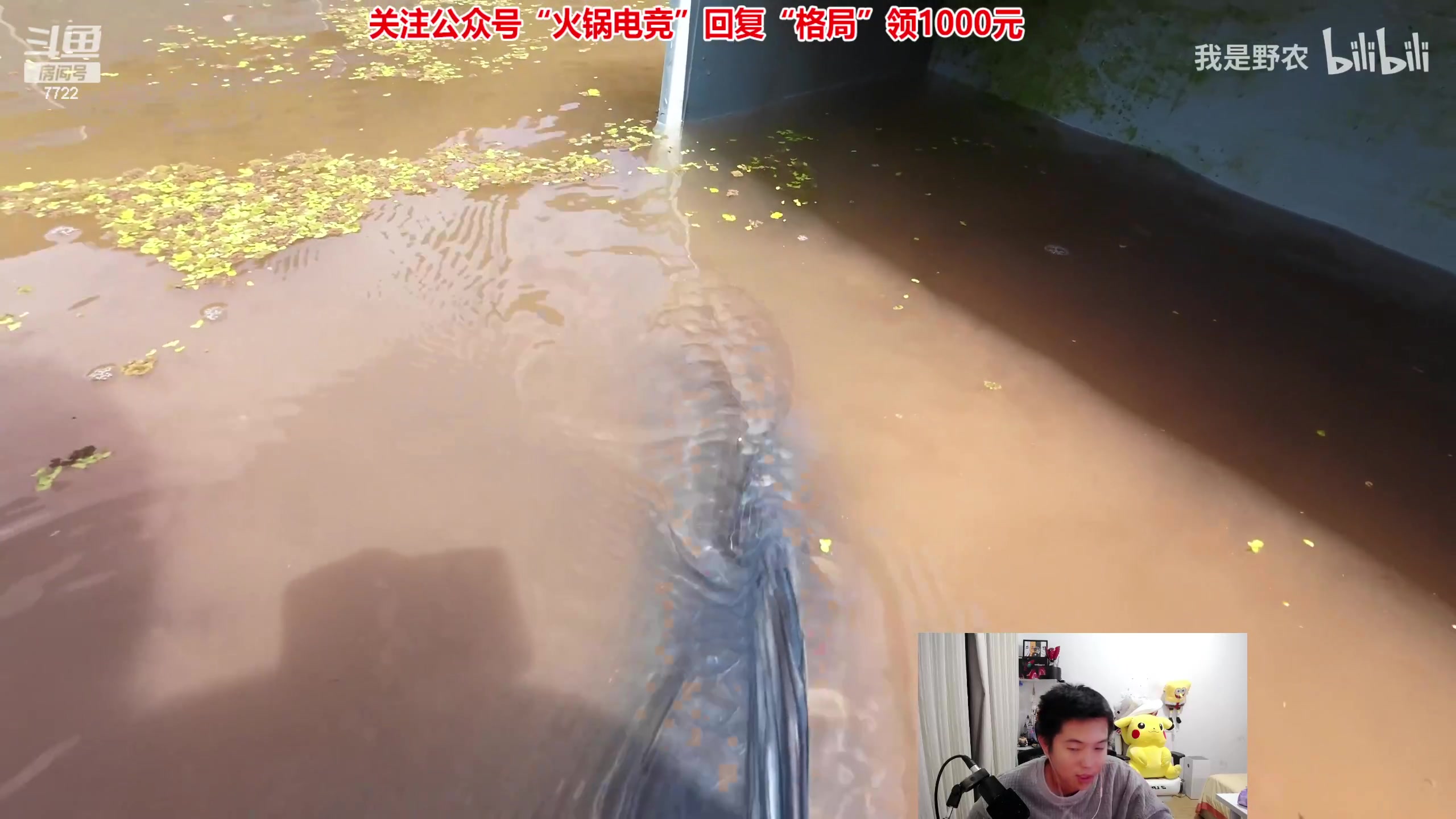 【2023-11-10 21点场】格局OoO：一区大师教学 12点偶遇小姐姐