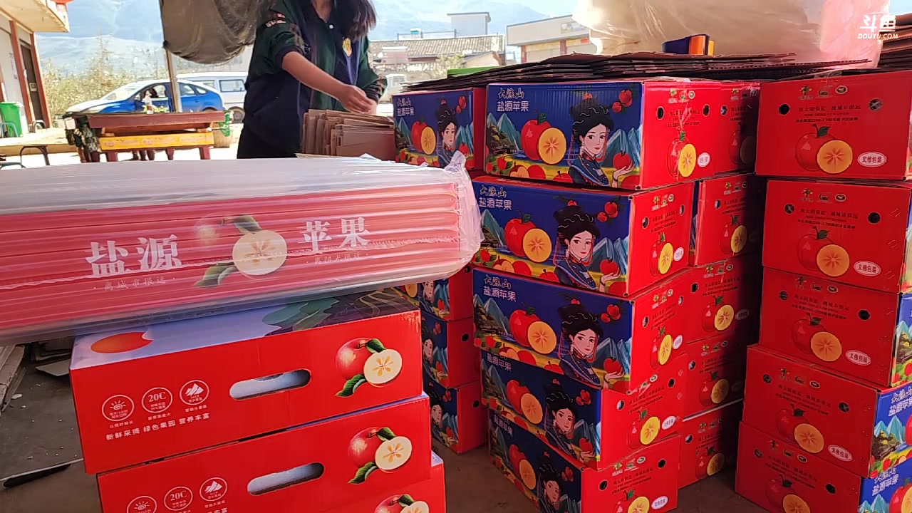 【2023-11-03 13点场】叶子户外：《纪实直播》斯里兰卡day3