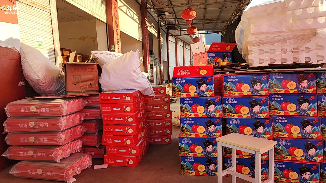 【2023-11-02 17点场】叶子户外：《纪实直播》斯里兰卡day3