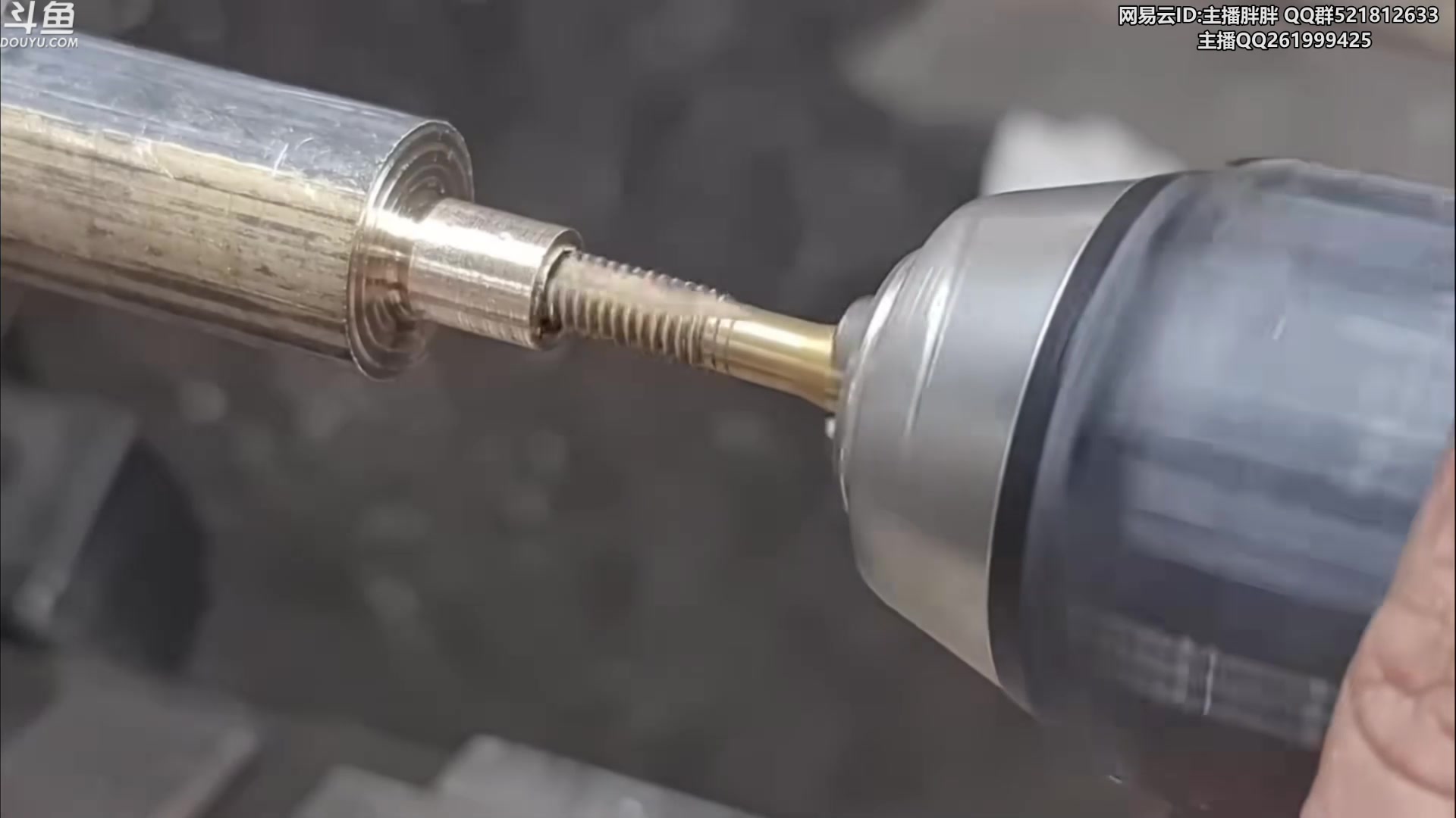 【2023-11-12 21点场】胖胖灬：胖胖OB：JD输了，今晚出门吃夜宵