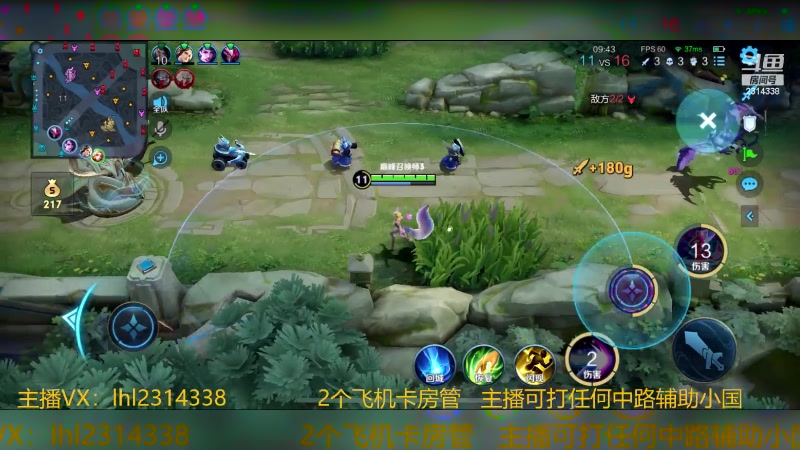 【2023-11-13 00点场】国服老狐狸：国服妲己：巅峰赛上分