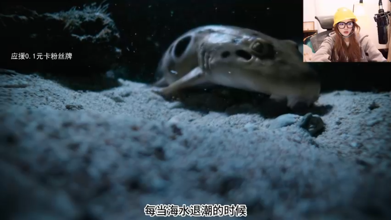 【2023-11-12 23点场】野生小师妹：【双倍】钓鱼佬的一天