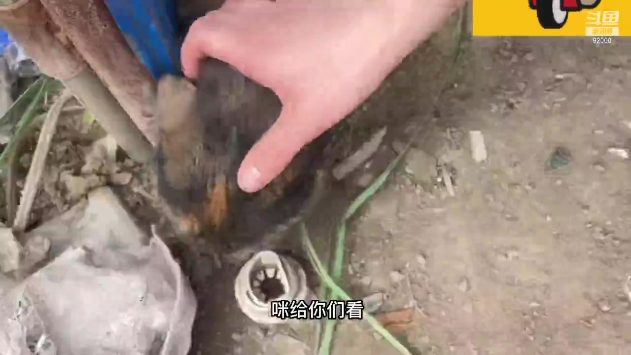 【2023-11-13 02点场】呆妹儿小霸王：【呆妹】一起see