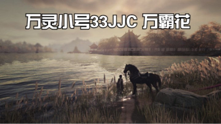 万灵小号33JJC 万霸花