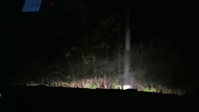 【2023-11-10 19点场】惠娜娜呀：【小奶团】985村口求生第三天