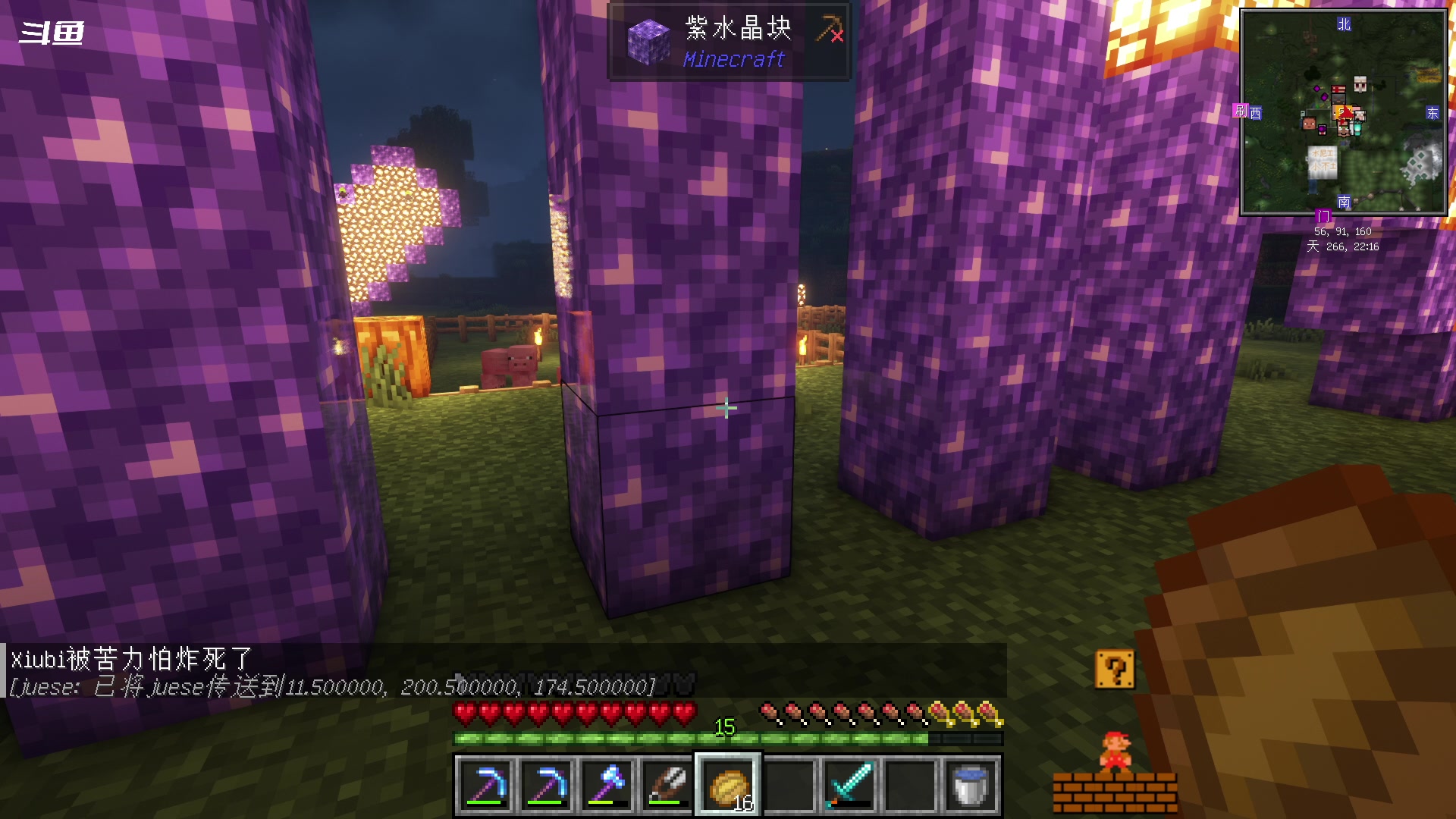 【2023-11-13 01点场】隐者丶丶：一个超级勤奋的小蜜蜂