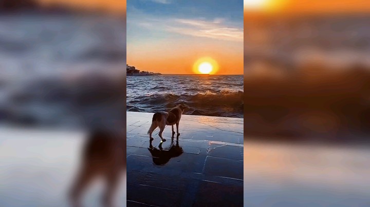 人生不易，且行且珍惜，江湖再见