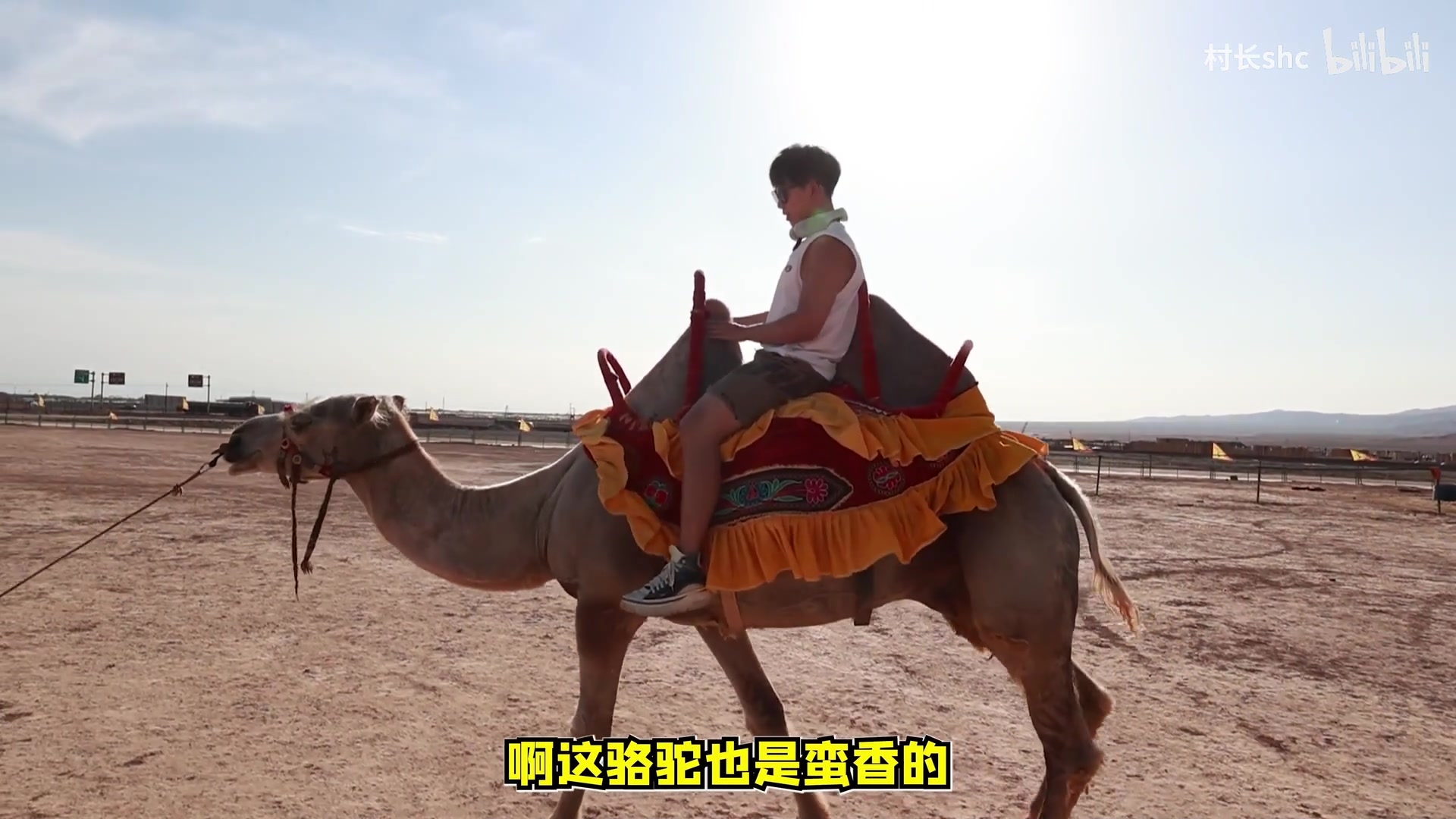 【2023-11-14 18点场】隐者丶丶：一个超级勤奋的小蜜蜂