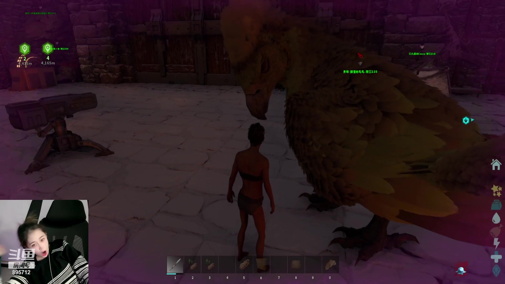 【2023-11-09 06点场】一只蘇l：女队动物商人！