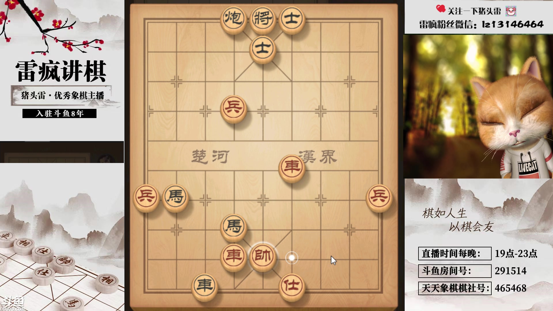 【2023-11-14 19点场】雷疯小叔：【乱世七执政七神之一】雀神 请求归位！