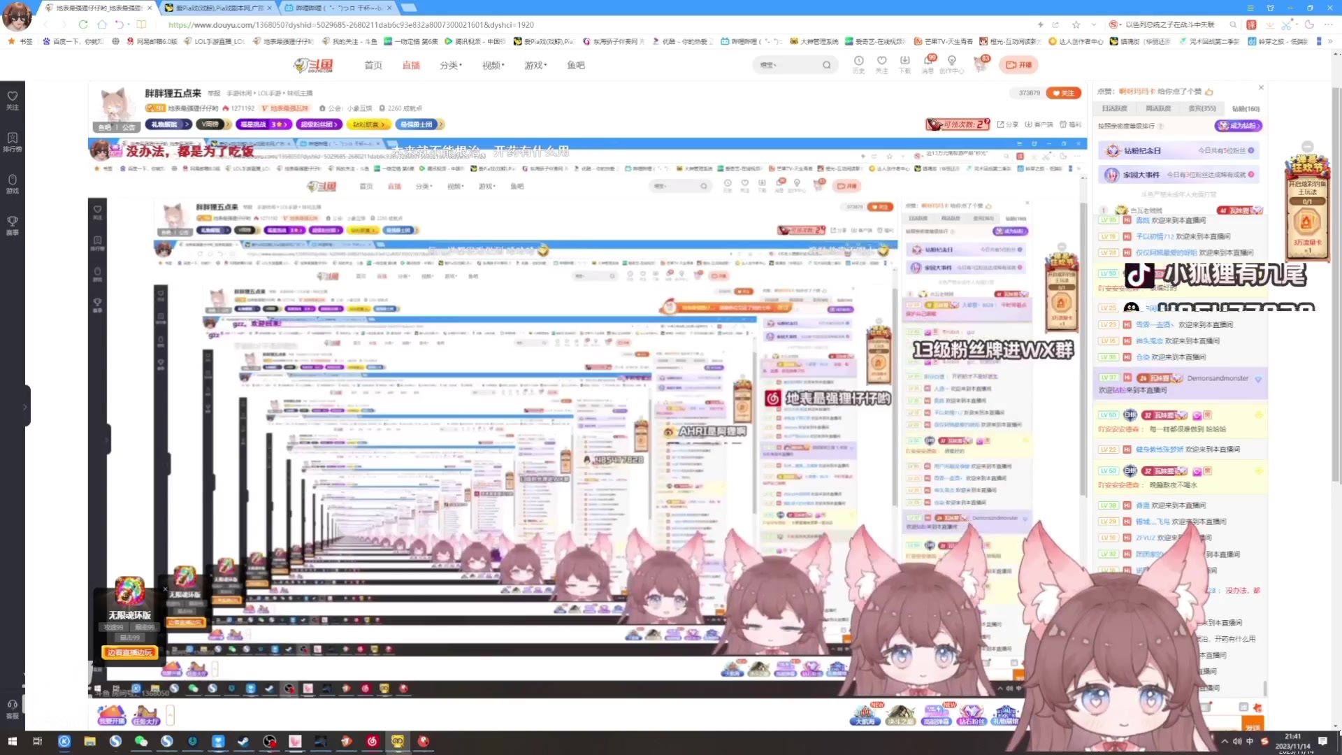 【2023-11-14 21点场】地表最强狸仔仔哟：【钻粉狂欢】胖胖狸来啦