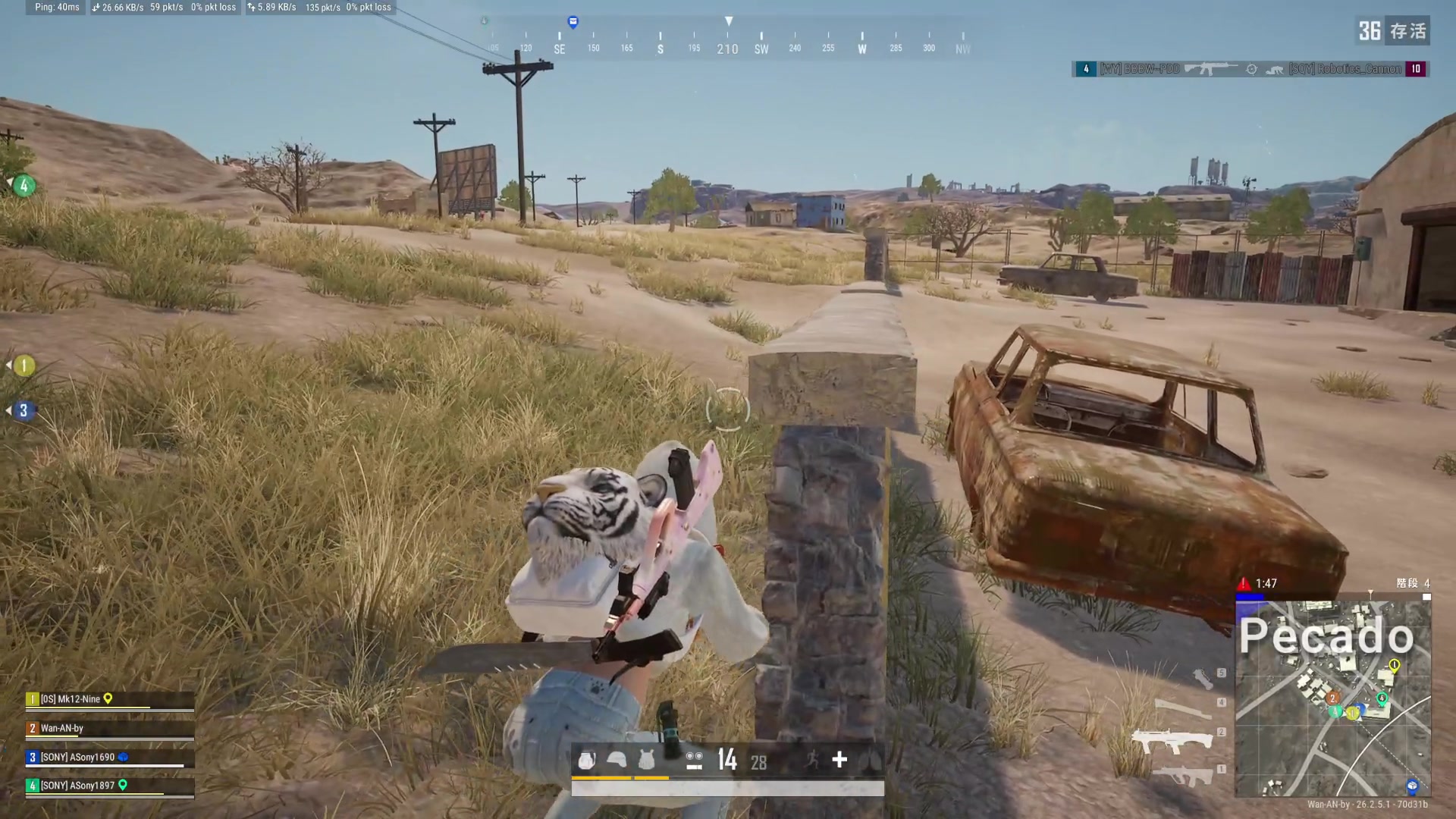 【2023-11-14 01点场】小小青蛙笑i：蛙神：今天排位！！上车飞机！！！