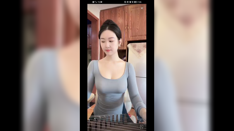 美女演奏 荷塘月色