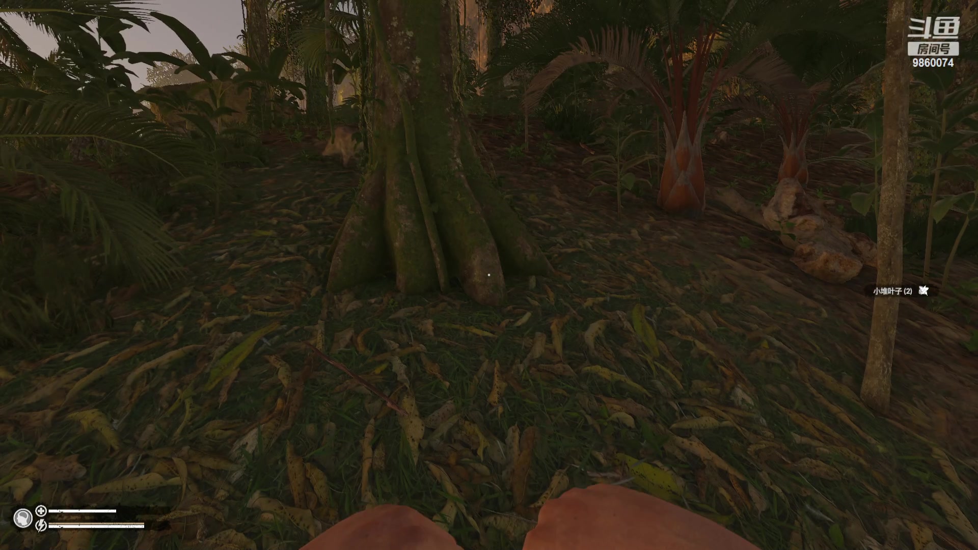 【2023-11-08 23点场】一只樱桃丸子：【有车位】上车滴滴❤