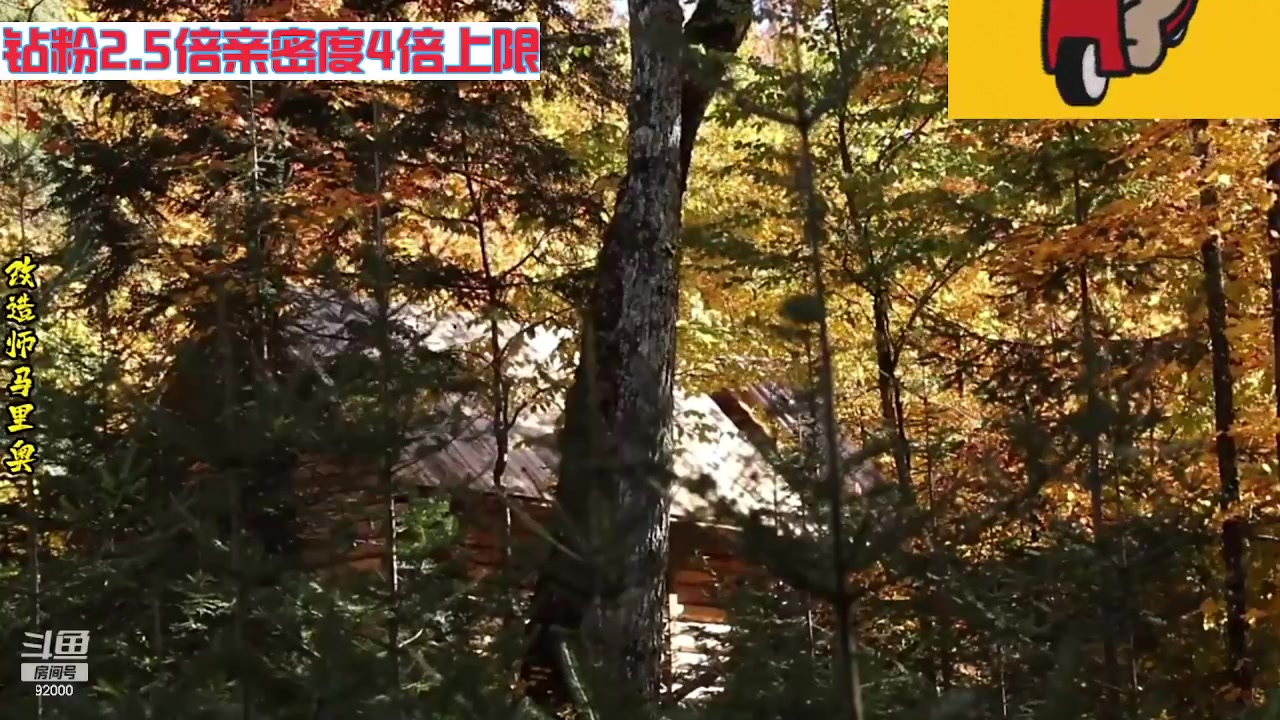 【2023-11-15 04点场】呆妹儿小霸王：【呆妹】一起see