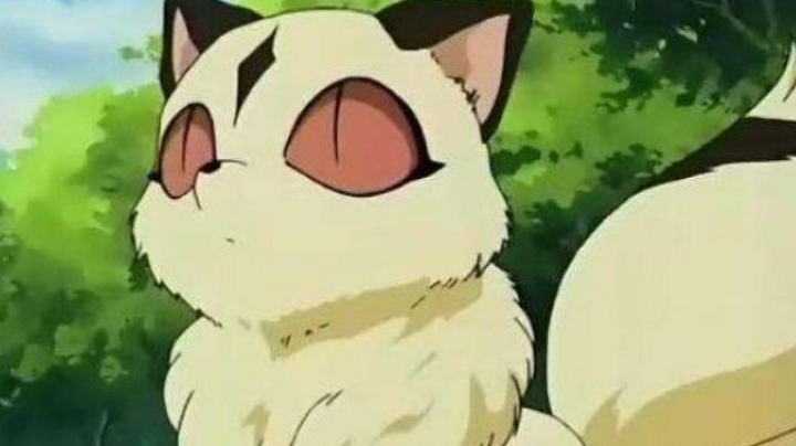 久违的火影！段位赛猛杀