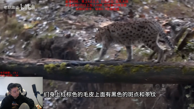 【英雄联盟】网友张顺飞的精彩时刻 20231115 10点场