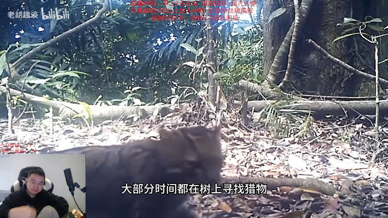 【英雄联盟】网友张顺飞的精彩时刻 20231115 10点场