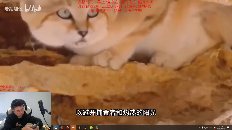 【英雄联盟】网友张顺飞的精彩时刻 20231115 10点场