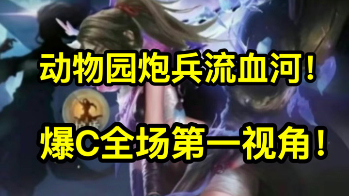 血河炮台流，33实战爆c全场第一视角