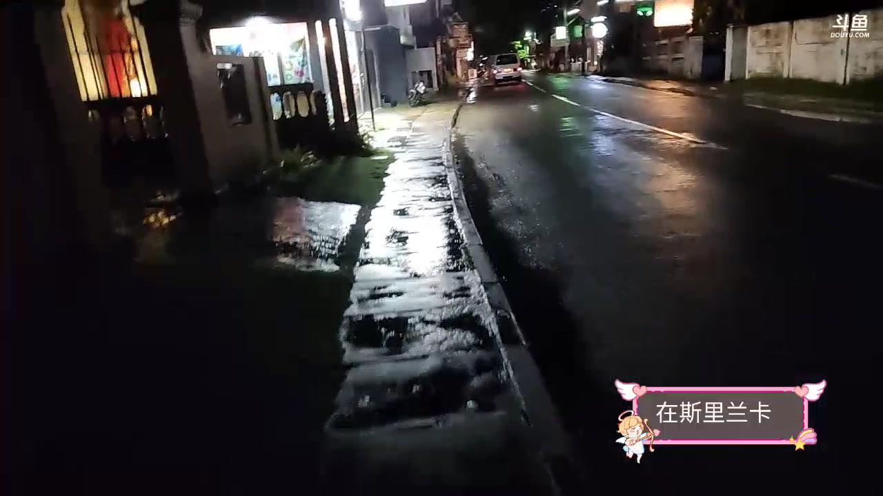 【2023-11-09 23点场】叶子户外：《纪实直播》斯里兰卡day1