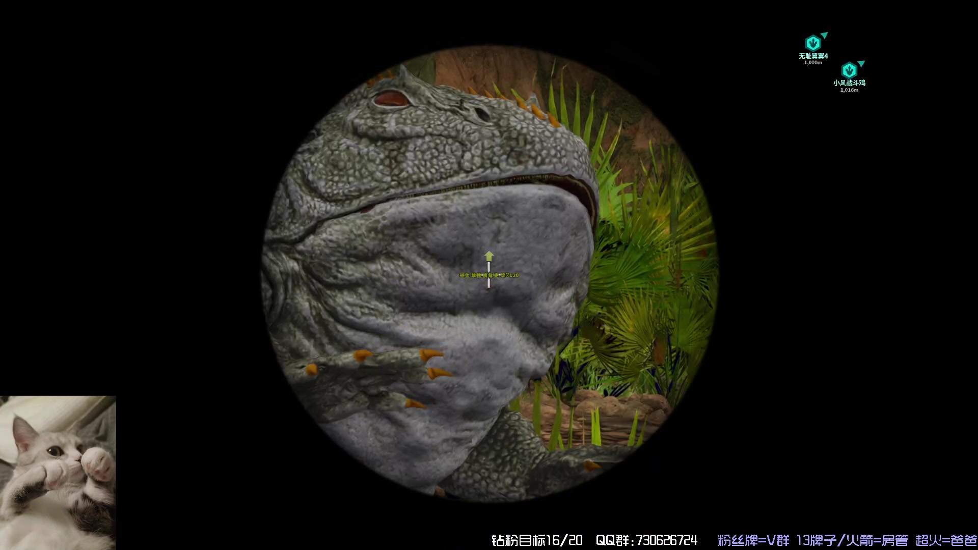 【2023-11-15 19点场】东方不败Athena：下午见，十一月生存，喵~