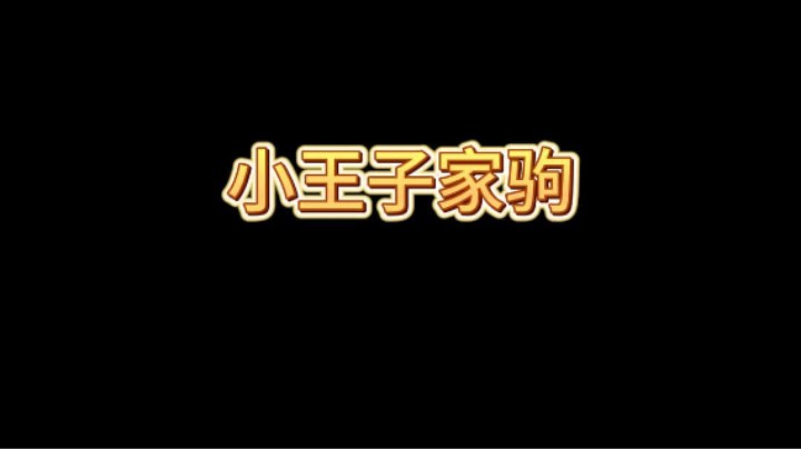 感觉这赛季觉醒家驹又有机会了