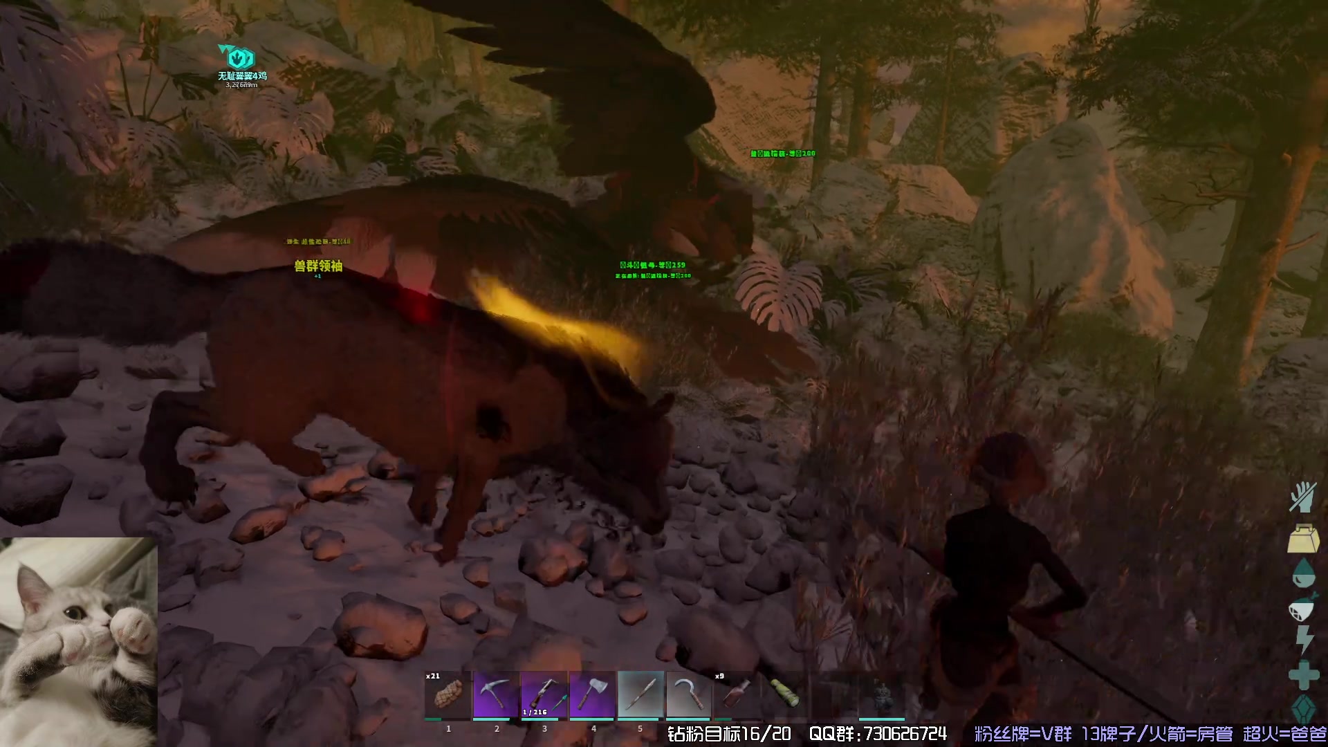 【2023-11-15 17点场】东方不败Athena：下午见，十一月生存，喵~