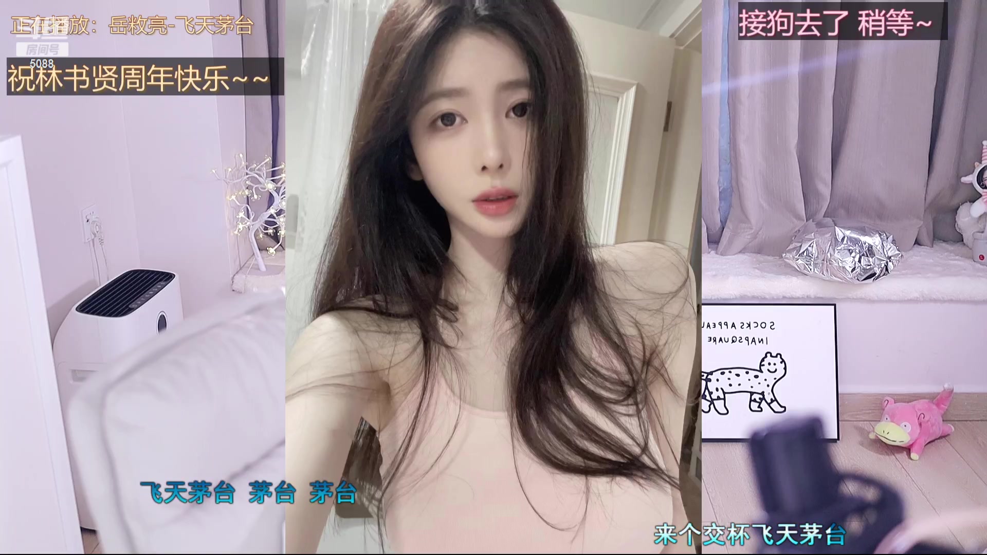 【2023-11-16 15点场】晒网的慧儿呀：小狗今天开始好好打工