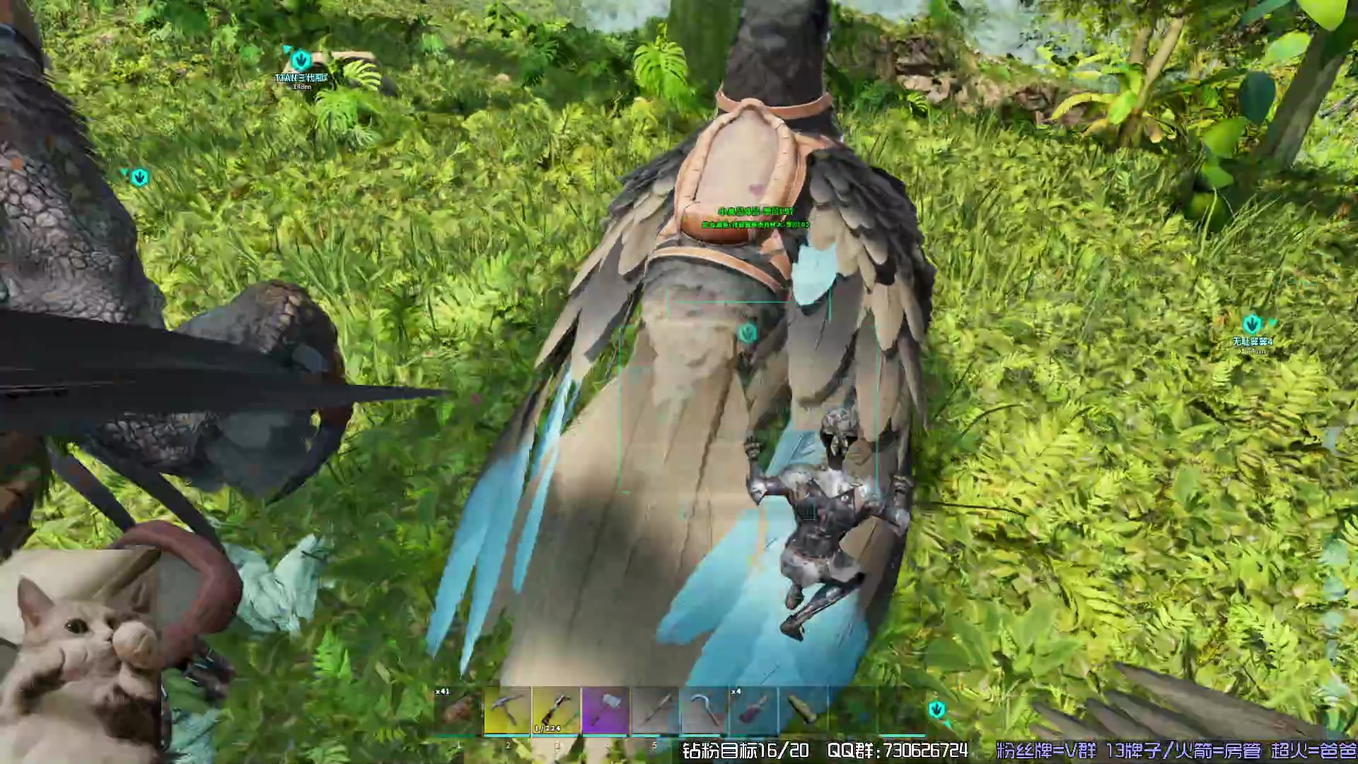 【2023-11-15 23点场】东方不败Athena：下午见，十一月生存，喵~