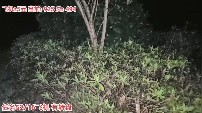 【2023-11-15 19点场】叫我好姑娘吧:双倍亲密度 嘉鱼途搭岳阳 day2