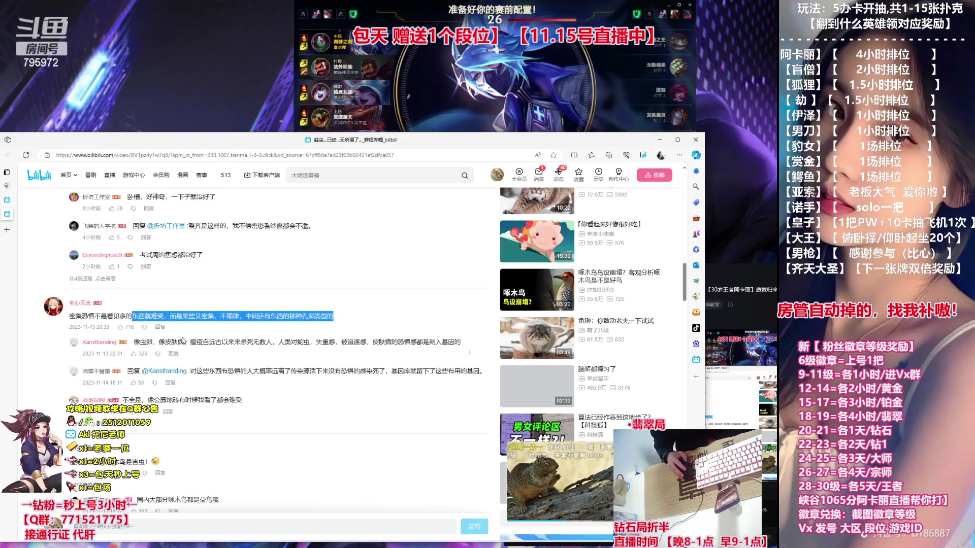 【2023-11-15 22点场】Akl托尼老师：飞机秒上号，【30岁王者阿卡丽】康复归来