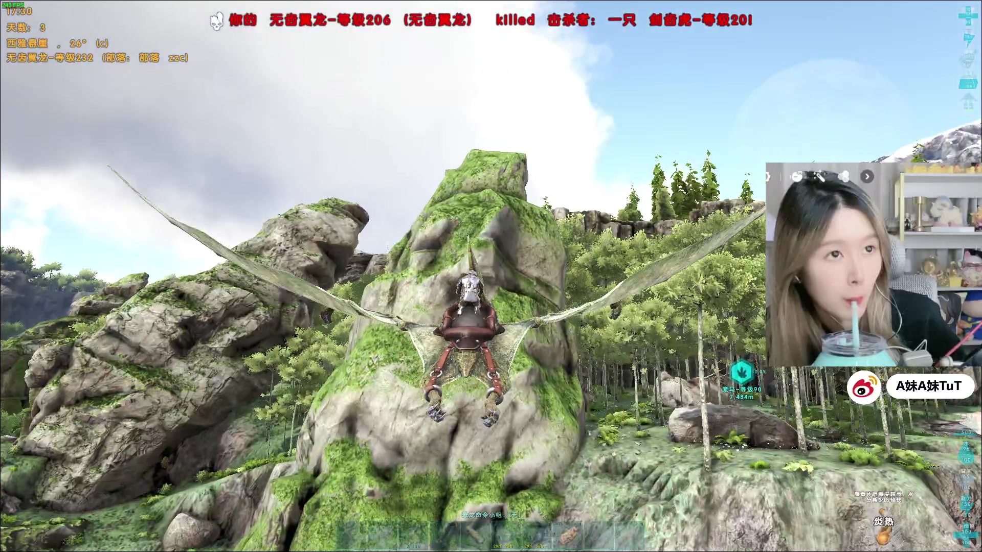 【2023-11-15 23点场】A妹A妹：【呆猪】新人主播