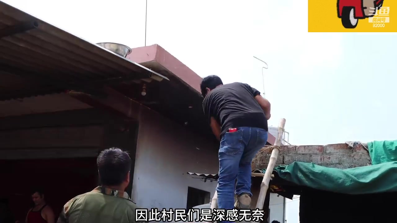 【2023-11-17 02点场】呆妹儿小霸王：【呆妹】一起see