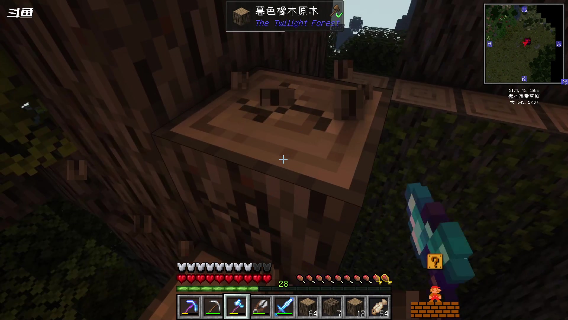 【2023-11-17 20点场】隐者丶丶：一个超级勤奋的小蜜蜂