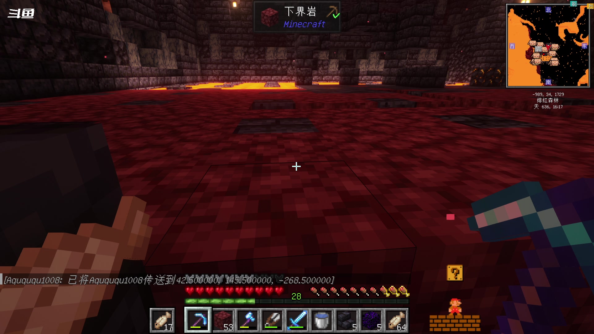 【2023-11-17 18点场】隐者丶丶：一个超级勤奋的小蜜蜂