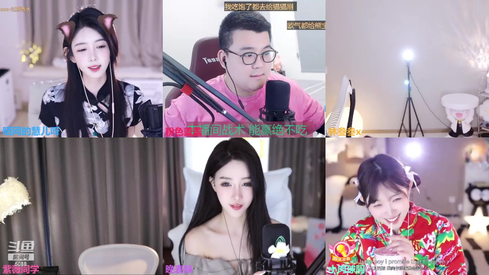 【2023-11-17 13点场】晒网的慧儿呀：小狗今天开始好好打工