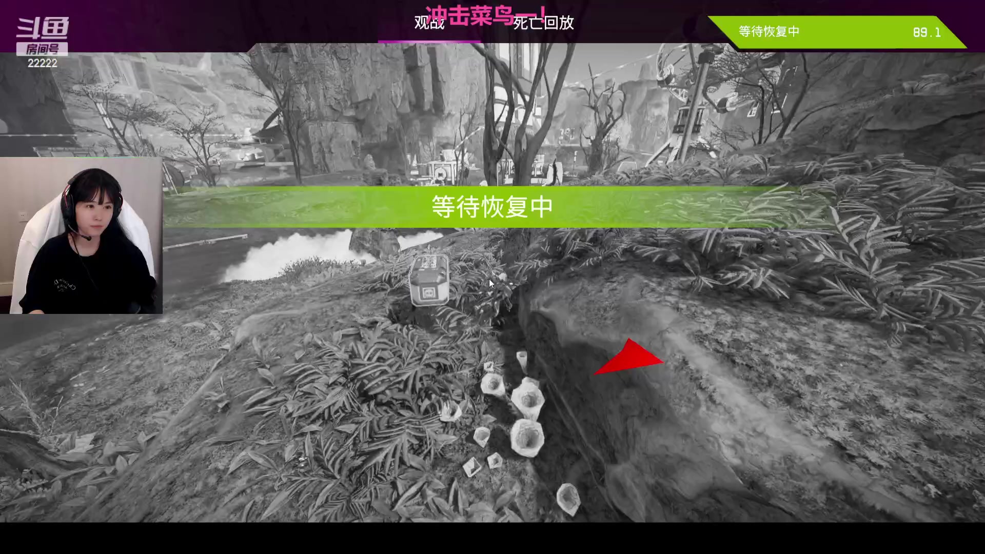 【2023-11-17 22点场】不2不叫周淑怡：蛋宝：全能打工人