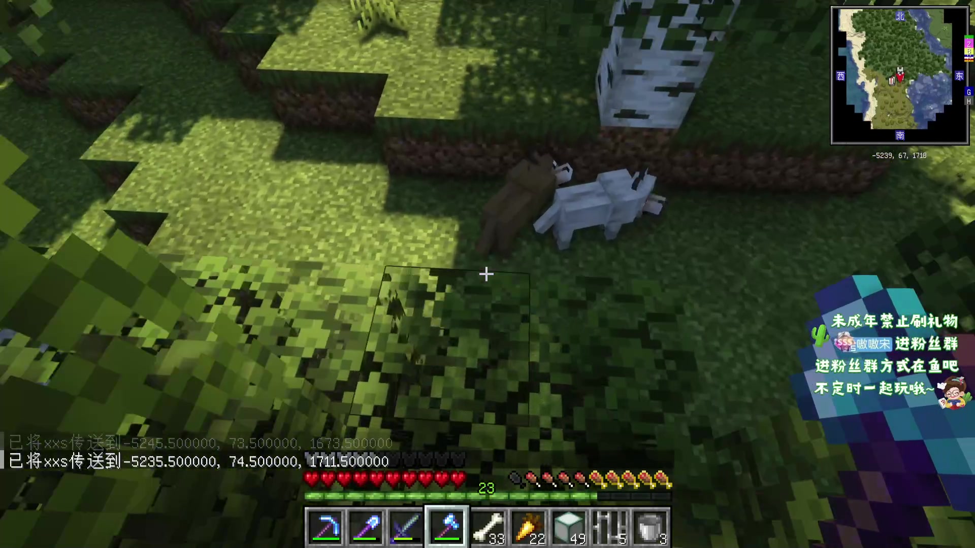 【2023-11-19 5点场】小小宋OAO:✨小小宋✨开心快乐每一天！